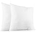 Plain Throw Pillow Cushion Inserts: White Square Throw Pillows for Couch, Sofa, Bed - 20 Inch x 20 Inch Pillow Insert, Set of 2 - Euro Accent Pillow Stuffers for Sham Covers - Large Filler Cushions