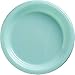 Robin's Egg Blue Round Disposable Plastic Plates - 10.25