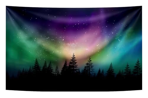 Fabric Northern Lights Backdrop Banner
