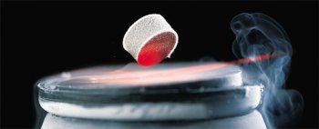 Economy Superconductivity Kit