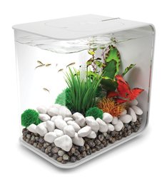 biOrb Flow 15 Aquarium with LED – 4 Gallon, White
