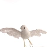 Factory Direct Craft 5