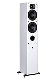 Aperion Audio Intimus 5T