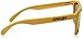 Oakley 24-343 Discontinued- Frogskins Pike's Gold w/Fire Iridium