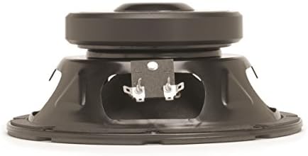 eminence 8 inch guitar speaker