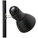 Boston Harbor TL-TREE-134-BK-3L 3-Light Adjustable Tree Lamp, 60 W, A19, Black