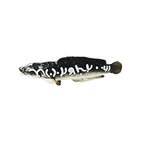 Collectible Wildlife Gifts Giant Snakehead Fish 3 Inch ~ Plastic Replica ~ F03-B88