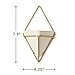 California Home Goods Modern Hanging Planter Pots (2-Pack), Small Decorative Wall Planters for Cactus Decor & Hanging Plants, Wall Hanging Ceramic Planter with Brass Wire Frame, White Plant Decor