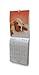 Command Micro Hooks, White, 3-Hooks, 4-Strips, Organize Damage-Free