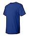 Hanes TAGLESS Pocket T-Shirt,Deep Royal,Medium