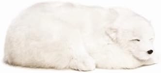 Precious Petzzz Lifelike Breathing Huggable Cute Puppy Dog Cat Birthday Gift UK by Lizzy® (Polar Bear)