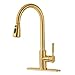 Fonveth Kitchen Faucet,Brushed Gold Kitchen Faucet with Pull Down Sprayer, Single Handle High Arc Pull out Kitchen Sink Faucet, Single Hole Kitchen Faucet with Deck Plate，Brushed Brass primary