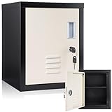 Suzile Lockable Storage Cabinet Metal Lockable