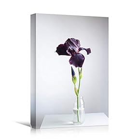signwin Canvas Wall Art Purple Flower Portraiture Colorful...