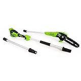 Greenworks PS40B00 8-Inch 40V Cordless Pole Saw, Tool