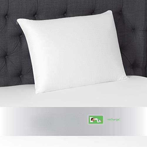 Beautyrest latex foam pillow standard size Clearance