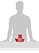 PetSafe Drinkwell Avalon Pet Water Fountain, Ceramic Drinking Fountain for Cats and Dogs, 70 oz. Water Capacity, Red