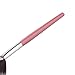 SMTSMT 2017 1Pc Fan Brush Portable Slim Professional Makeup Brush (Pink)