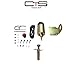 Chassis Tech 60lb Solenoid Shaved Door kit with 1 Popper Kit hot Rod Rat Rod Complete