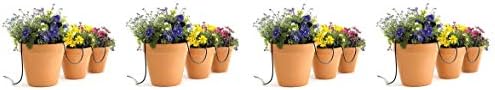 Raindrip R560DP Containr and Hang Basket Kit (4-(Pack))