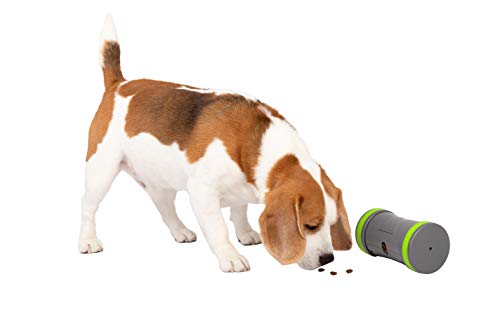 PetSafe Kibble Chase Zelfbewegend beloningsspeelgoed, rollende snackdispenser voor honden, 3 AA-batterijen nodig