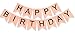 Pink Birthday Party Decoration, Pink Birthday Decoration, Pink Happy Birthday Banner, Paper Tassels, Pink and Gold Letters Birthday Bunting Stylish Decorations, Toddler Birthday Decorations