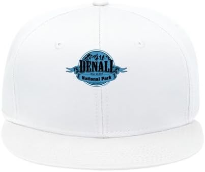 Cool Male/female Snapback Adjustable Hip Hop Cap Hat Denali National Park White Cotton