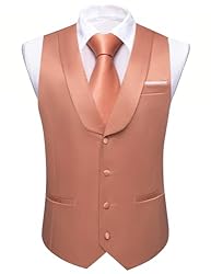 Barry.Wang Mens Orange Vest Formal/Leisure V-neck
