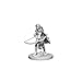 WizKids Pathfinder: Deep Cuts Unpainted Miniatures: Human Female Fighter by