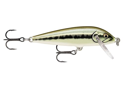 Rapala Unisex Volwassenen Countdown visaas visaccessoires van balsahout zoetwater spinnenaas loopdiepte 0,9-1,8 m visaas 5 cm, 5 g gemaakt in Estland-Artistic Rainbow Trout, standaard