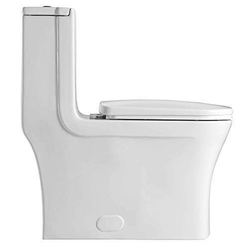 Fine Fixtures DualFlush Elongated OnePiece Toilet with High