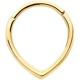 Pierced Owl 16GA 24KT Gold PVD ASTM F-136 Implant Grade Titanium Teardrop Shaped Hinged Segment Clicker Ring