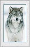 Unknown Binding Wolf Classic Journal Book