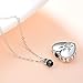 WINNICACA Pet Urn Keepsake Necklace Sterling Silver Heart Cremation Urn Necklaces for Ashes for Dog Cat Paw w/Funnel Filler Kit
