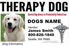 PERSONALIZE Dean &amp; Tyler "Therapy Dog #3" ID Badge Bundle - 1 Handler's Custom ID Badge - 1 Dog's Custom ID Badge - Design#3 - Horizontal.