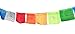 Prayer Flags Tibetan Lg Neon 10 X 10 Inches Wind Horse Lungta, 21 SET, 18 FT Long