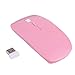 HDE Ultra-Thin Wireless Mouse 2.4GHZ Ergonomic Candy Colored Optical Mouse with USB Nano Receiver and Adjustable DPI Switch (Pink)