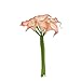 Angel Isabella 10pc set of Real Touch calla lily-Keepsake artificial calla lily with Small Bloom perfect for making bouquet, boutonniere,corsage.Quality keepsake artificial flower (Coral reef Trim)