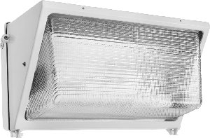 RAB Lighting WP3H250PSQW/PC WP3 Metal Halide