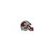 NCAA Helmet Pin
