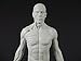 Male Adaptable Anatomy Figure: 13.4-inch Anatomical Reference for Artists (Grey)