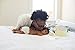 Medela Sonata Smart Double Electric Breast Pump, Lactation Support from 24/7 LC, Connects to MyMedela Mobile Breastpump App, Hospital Performance, Quiet, Touch Screen Display