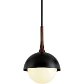 Troy Lighting Cadet-1 Light Pendant in Modern Style-15 Inches Wide by 24.75 Inches High
