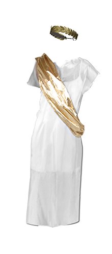 Toga And Laurel Leaf Headband Costume set