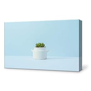 Green Plant Painting Wall Poster Decor for Living Room Framed