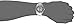Invicta Men's 5249S Pro Diver Stainless Steel Silver Dial Watch