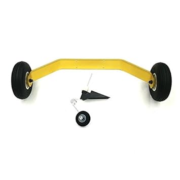 my twin dream rc plane