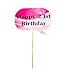 E&L Set of 20 PCS Photo Booth Props Kit, for 21st Birthday Party Celebration, 21st Birthday Party Decorations