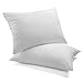 Queen Pillows 2 Pack - Fine Microfiber Fabric Filled with Premium Super Plush, Soft and Fluffy Poly Fiber Fill - Hypoallergenic, Dust Mite Resistant - 100% Satisfaction Guarantee - Crafted in USA