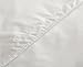 Zippered Box Spring Encasement by Red Nomad - Medical Grade Bed Bug Proof & Allergy Reduction Box Spring Protector - Queen Size